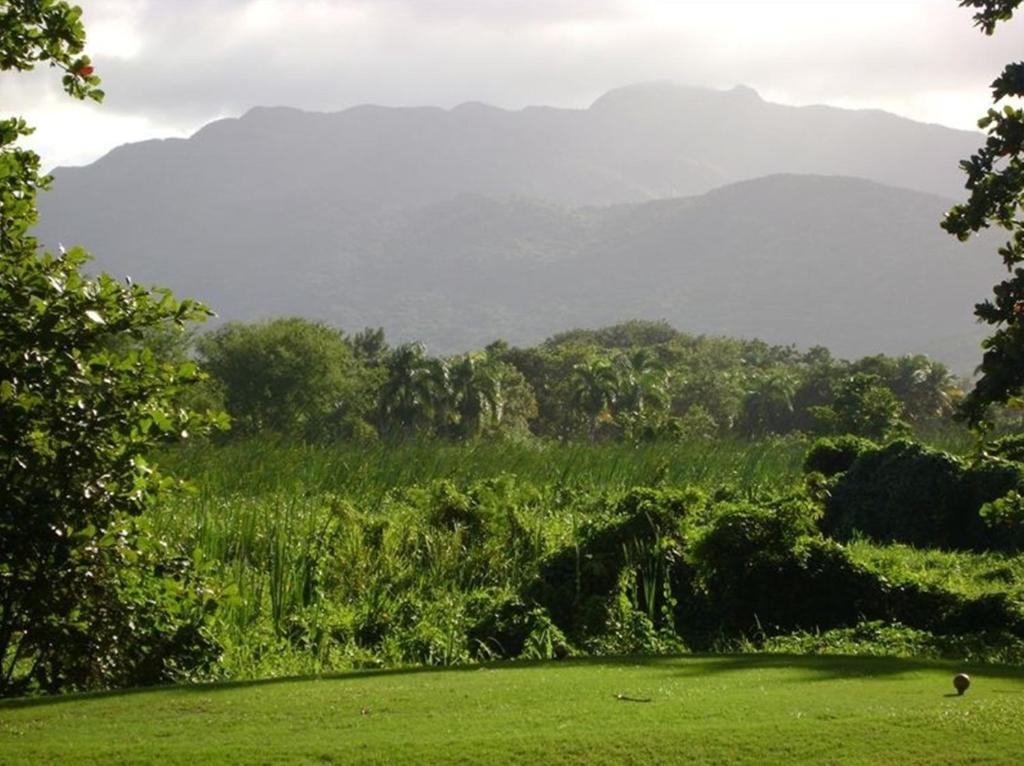 Rio Mar Village - Golf Course View Rio Grande Εξωτερικό φωτογραφία